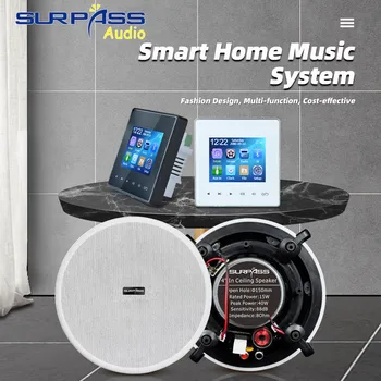 Музыкальная Система Smart Home с 4-Дюймовым HD-Экраном, Настенный Усилитель Bluetooth, Поддержка AUX FM, TF-Карты, USB с 4-Дюймовым Комплектом Потолочных Динамиков