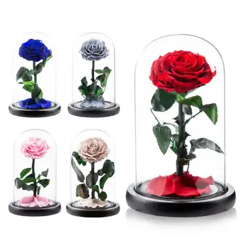 Привлекательный эстетичный орнамент из стеклянной розы с сохраненным цветком, приятный на вид, создает атмосферу Бесконечной розы в орнаменте из стеклянного купола